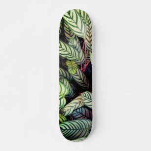 Stripte Blätter Skateboard