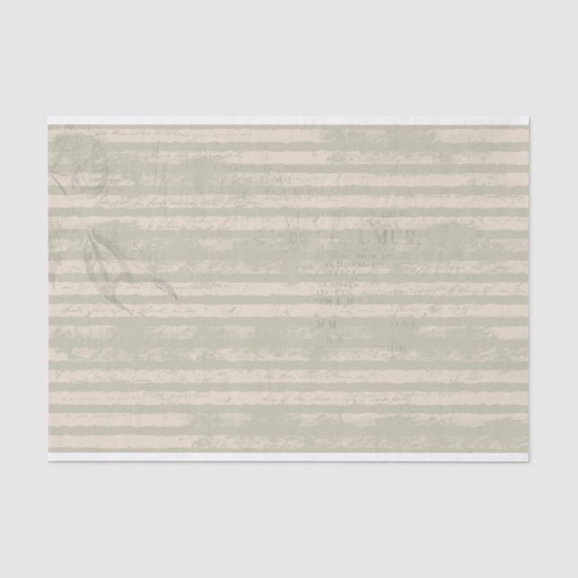 Striptes Grunge Green und Elfenbeingewebe Seidenpapier (Vorderseite)