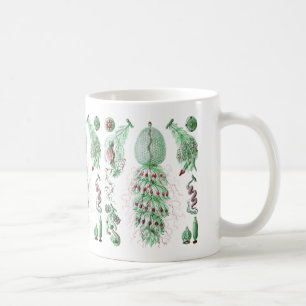 Strobalia Kaffeetasse