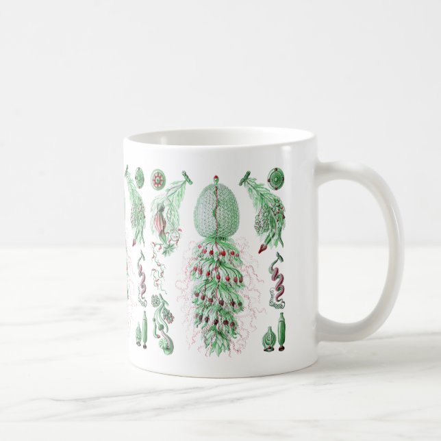 Strobalia Kaffeetasse (Rechts)