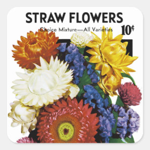 Stroh-Blumen-Samen-Paket-Aufkleber Quadratischer Aufkleber