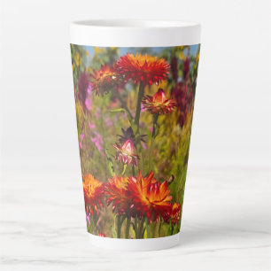 Strohblumen Milchtasse