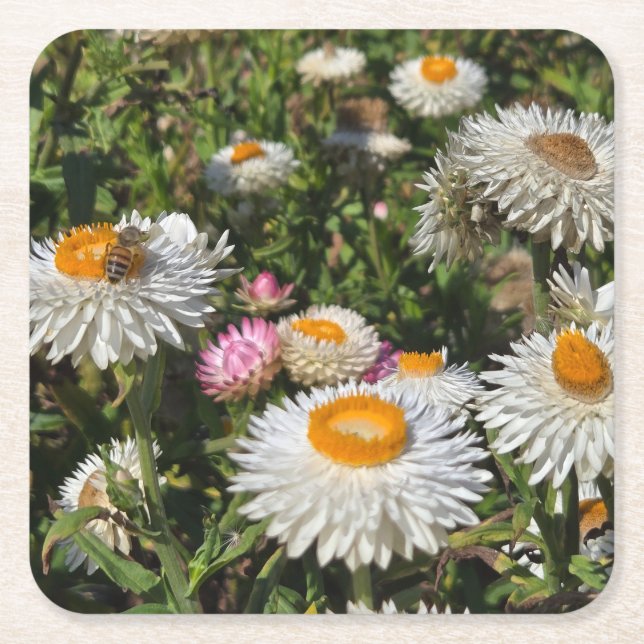 Strohblumen Rechteckiger Pappuntersetzer (Vorderseite)