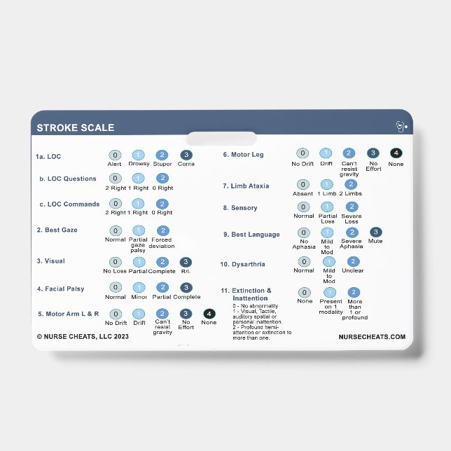 STROKE SCALE ABZEICHEN AUSWEIS (Vorderseite)
