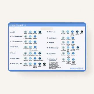 Stroke Scale Abzeichen Companion Ausweis
