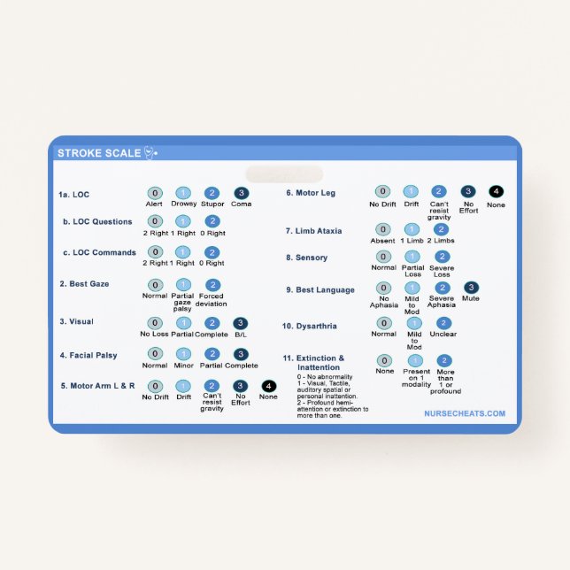 Stroke Scale Abzeichen Companion Ausweis (Vorderseite)