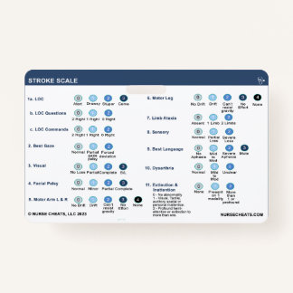 STROKE SCALE AUSWEIS