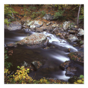 Strom im Smokies Fotodruck