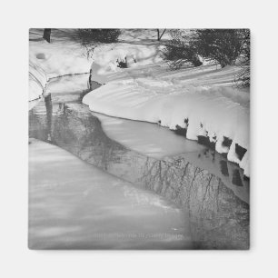 Strom im Winter B&W Magnet
