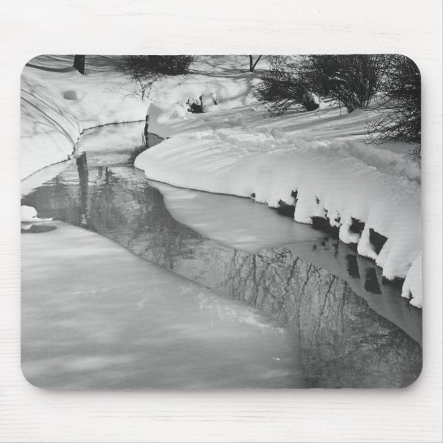 Strom im Winter B&W Mousepad (Vorne)