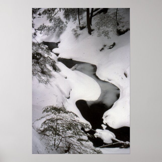 Strom im Winter Poster (Vorne)