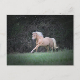 Strong Desire Postkarte