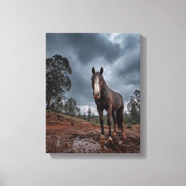 Strong Horse Under Stormy Sky Art Leinwanddruck (Vorderseite)