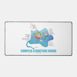 Structure complexe à l'intérieur de la cellule Euk