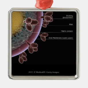 Struktur einer HIV-Zelle Silbernes Ornament