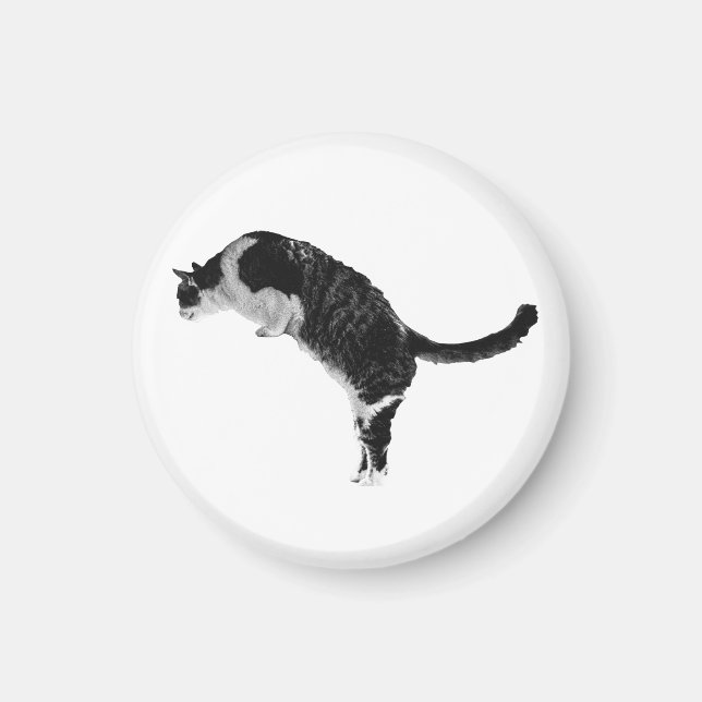 Struktur-Katz-Magnet Magnet (Vorne)