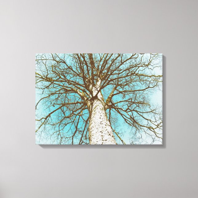 Struktur mit Zweigen Leinwanddruck (Vorderseite)