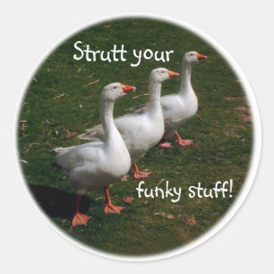 Strutt Ihr flippiges Material! Runder Aufkleber