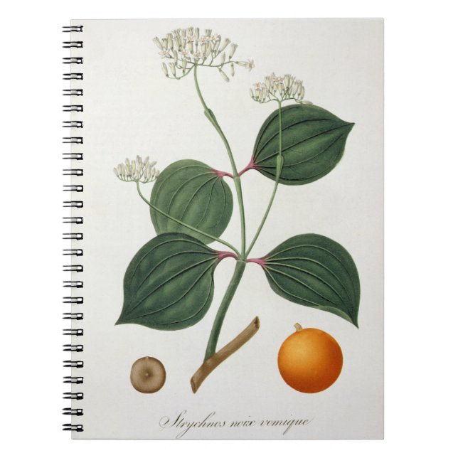 Strychnos Nuxeiterauswurf von 'Phytographie Notizblock (Vorderseite)