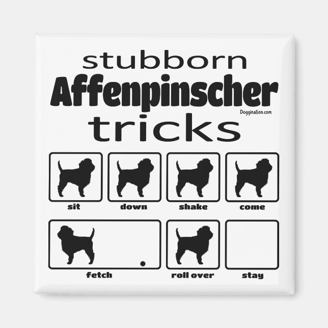 Stubborn Affenpinscher Tricks Magnet (Vorne)