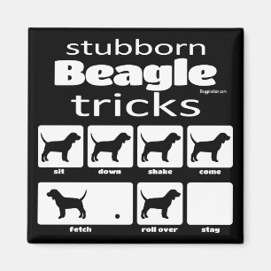 Stubborn Beagle Tricks Magnet