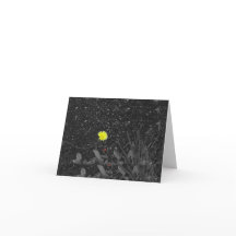 Stubborn Beauty-Blankokarte
