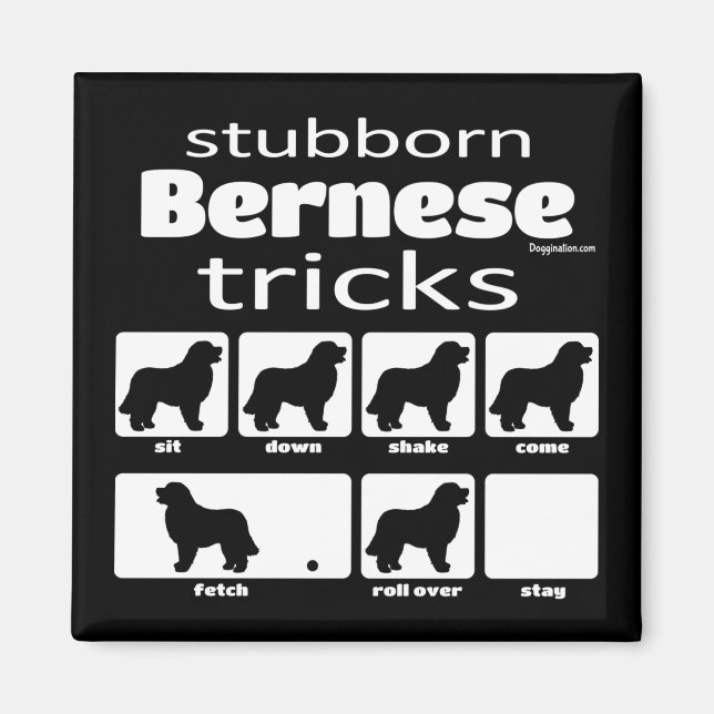 Stubborn Bernese Tricks Magnet (Vorne)