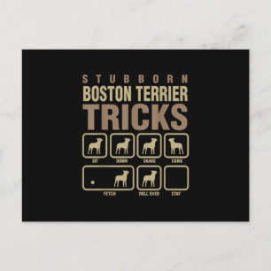 Stubborn Boston Terrier Tricks Dog Lover T - Shirt Postkarte
