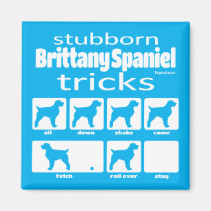 Stubborn Brittany Spanisch Tricks Magnet