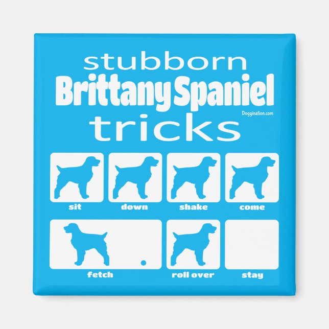 Stubborn Brittany Spanisch Tricks Magnet (Vorne)