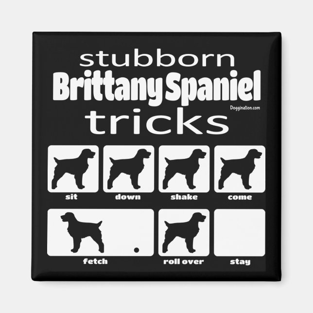 Stubborn Brittany Spanish Tricks Magnet (Vorne)