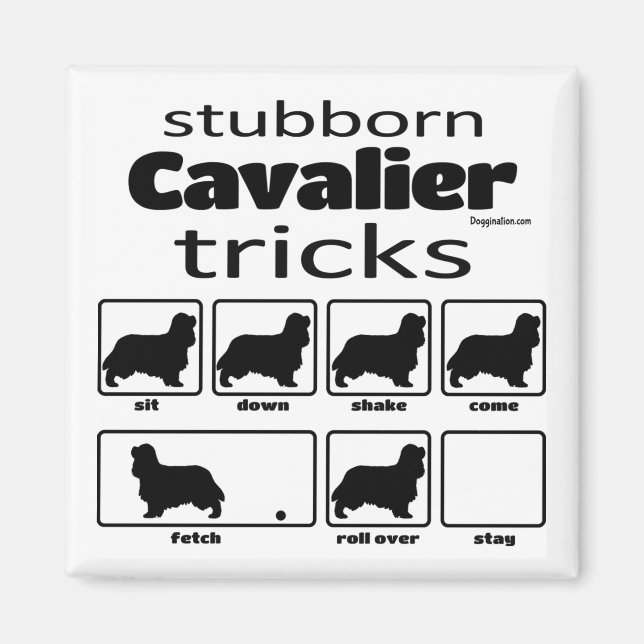 Stubborn Cavalier Tricks Magnet (Vorne)