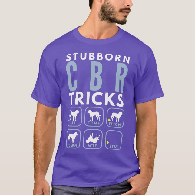 Stubborn Chesapeake Bay Retriever Tricks - Hund T-Shirt (Vorderseite)