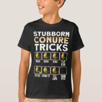 Stubborn Conure Parrot Tricks I Green Cheap