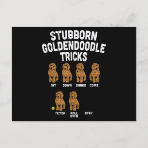 Stubborn Goldendoodle Tricks Funny Dog Trainer Mam Postkarte