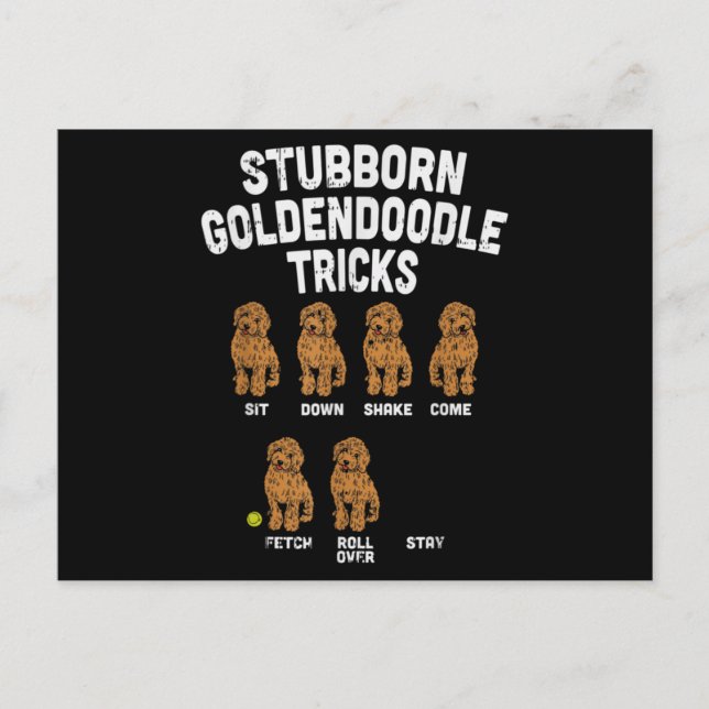 Stubborn Goldendoodle Tricks Funny Dog Trainer Mam Postkarte (Vorderseite)