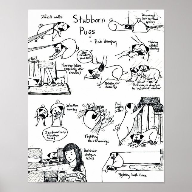 Stubborn-Mops Poster (Vorne)