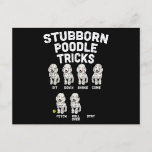 Stubborn Poodle Tricks Funny Dog Lover Eigentümer Postkarte