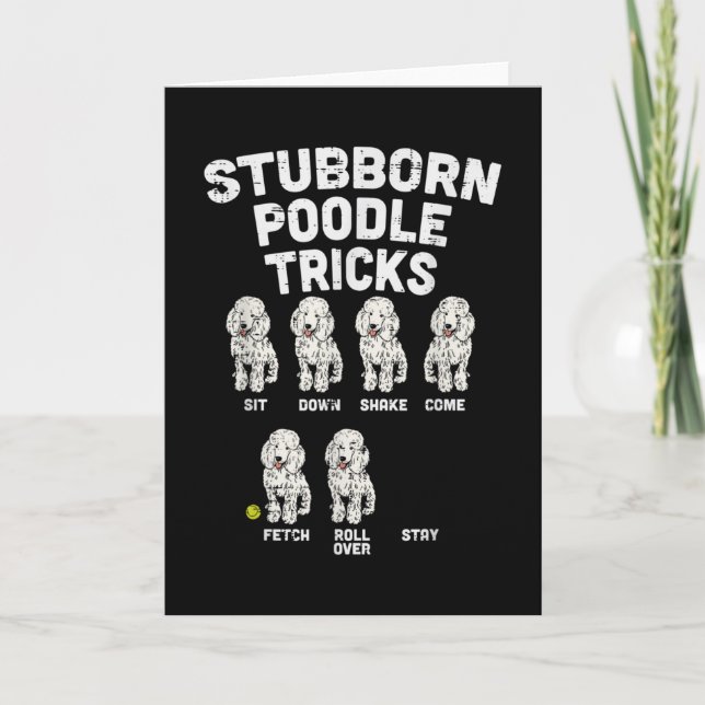 Stubborn Poodle Tricks Funny Dog Lover Owner Karte (Vorderseite)