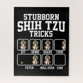 Stubborn Shih Tzu Dog Tricks