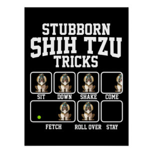 Stubborn Shih Tzu Dog Tricks Poster