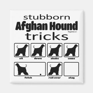 Stubborn-Tricks zum afghanischen Hund Magnet