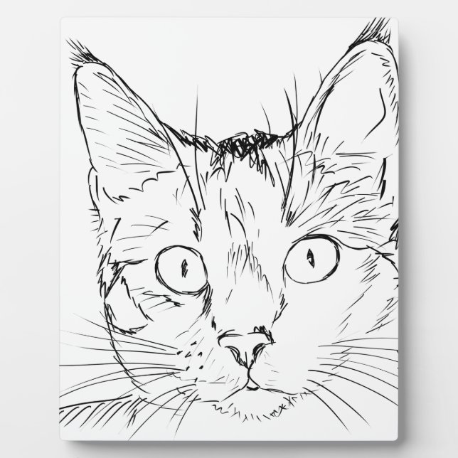 Stubentiger Fotoplatte (Vorderseite)