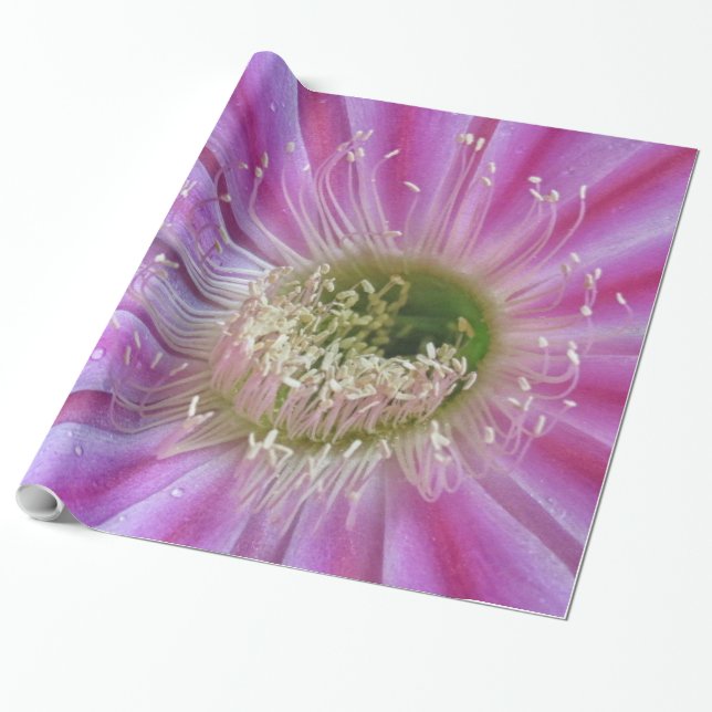 Stück Flatty cake Geschenkpapier (Ungerollt)