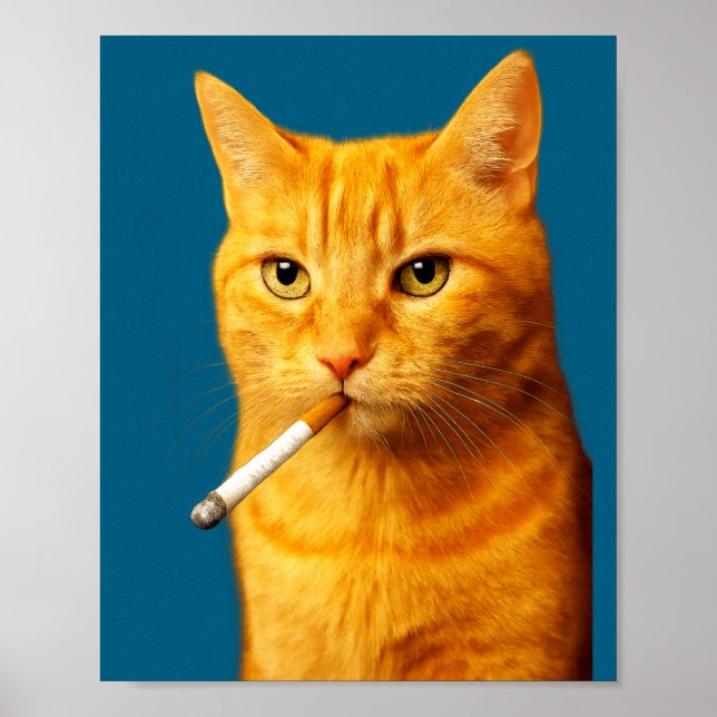 Stud Cool Funny Cat Meme Smoking Cat Cigarette  Poster (Vorne)