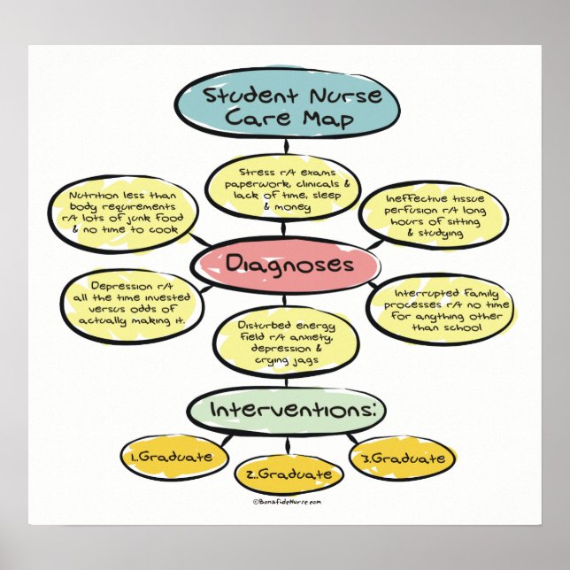 Student Nurse Care Map Poster (Vorne)