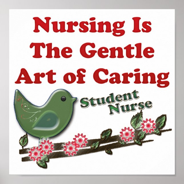 Student Nurse Poster (Vorne)