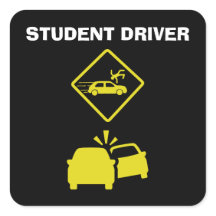 STUDENTTREIBER - CRASH YELLOW