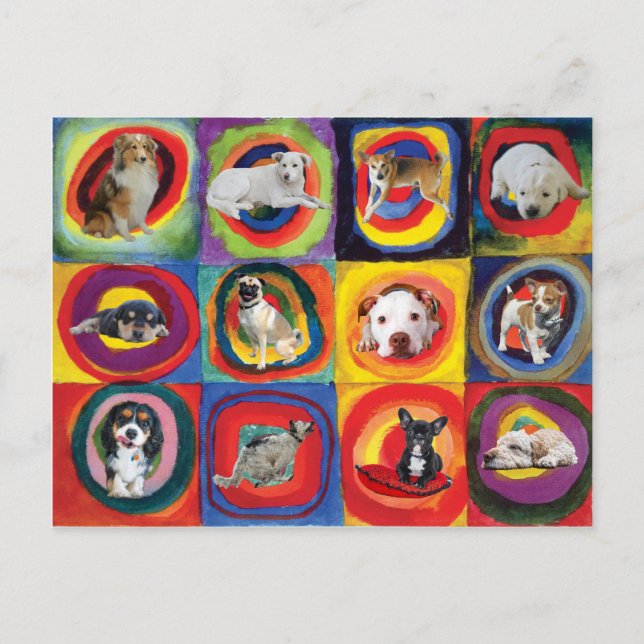 Studie bei Hunden Postkarte (Vorderseite)