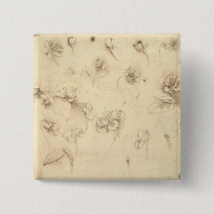 Studie der Blumen der Gras ähnlichen Pflanzen Button